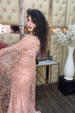 Soft Peach Saree